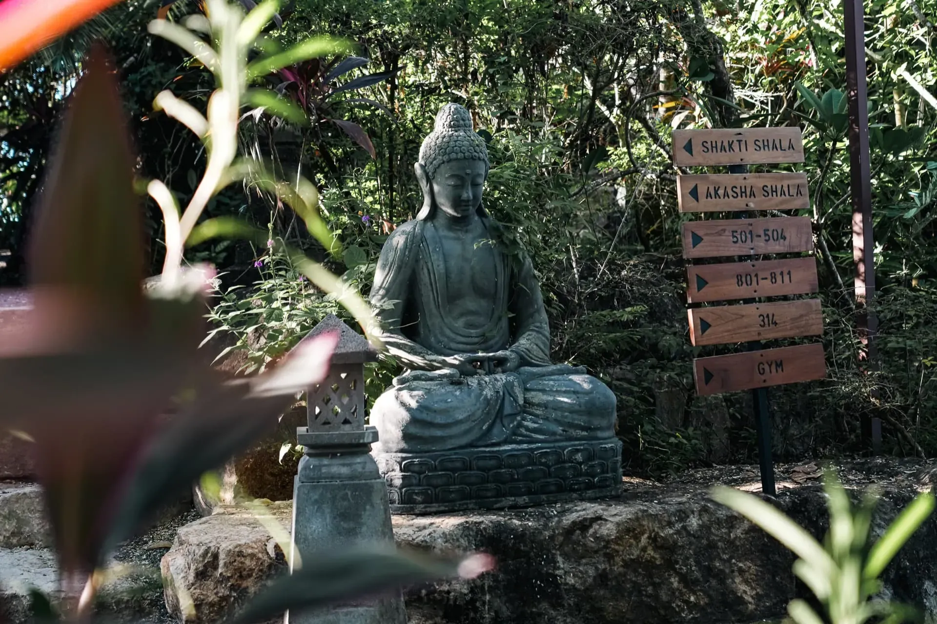 Bodhi Tree Yoga Resort
